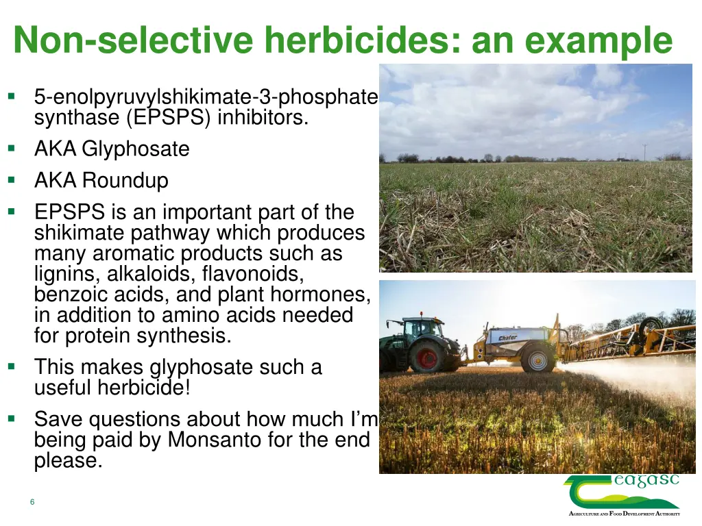 non selective herbicides an example