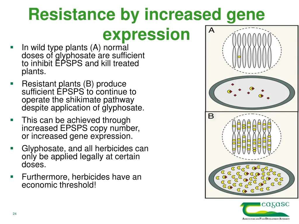 resistance by increased gene expression in wild