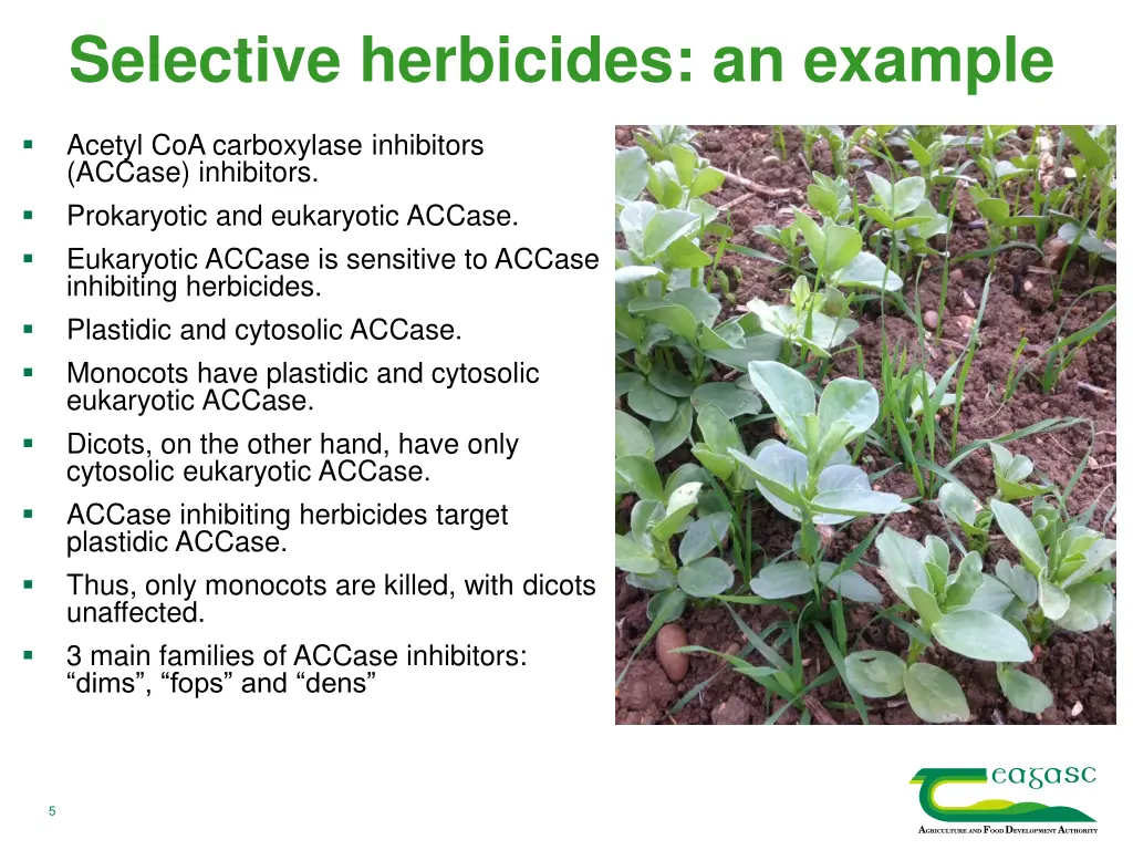 selective herbicides an example