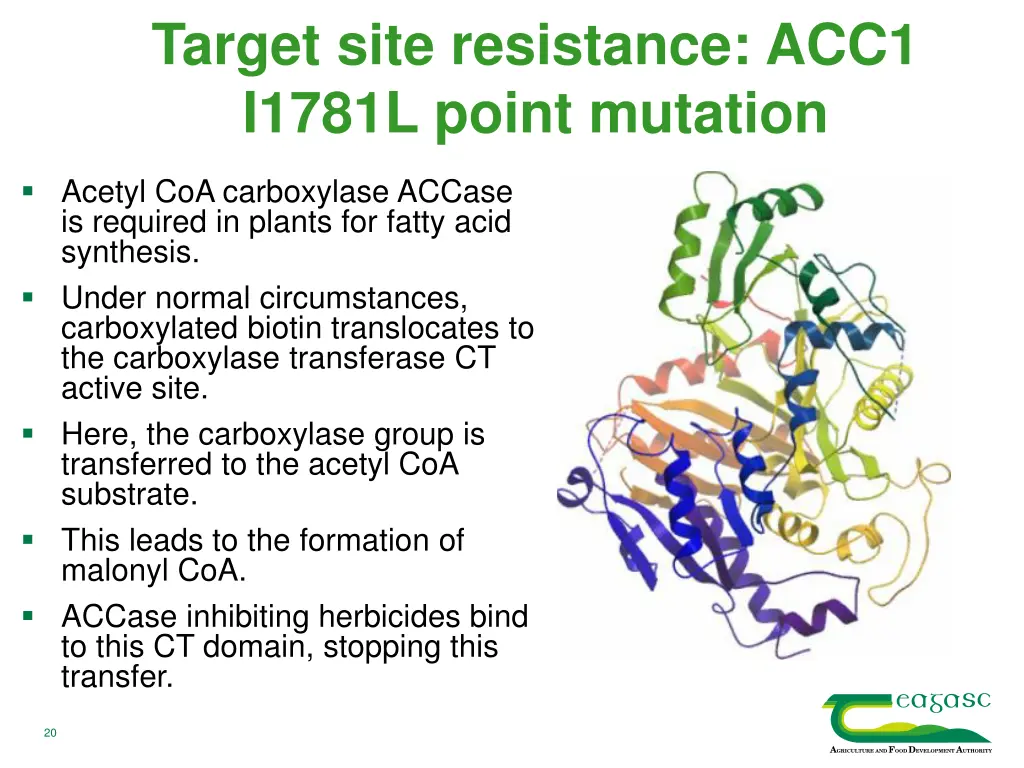 target site resistance acc1 i1781l point mutation