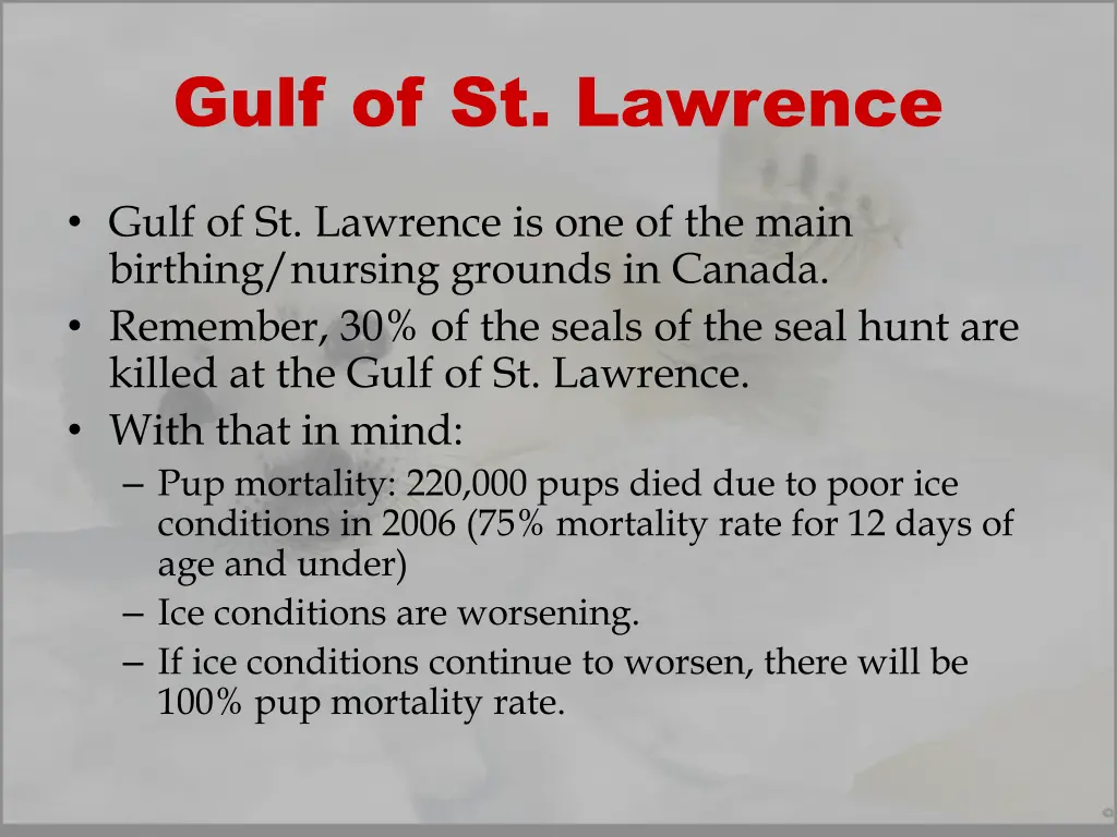 gulf of st lawrence