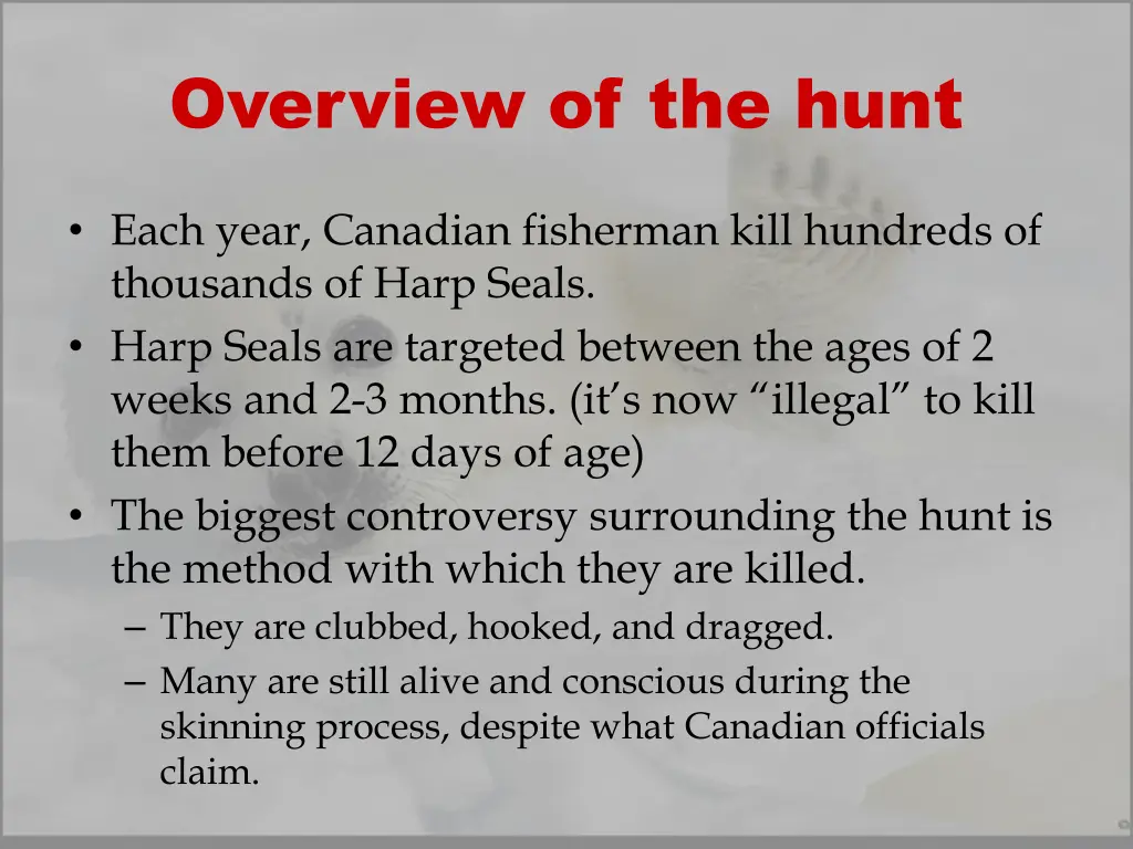 overview of the hunt