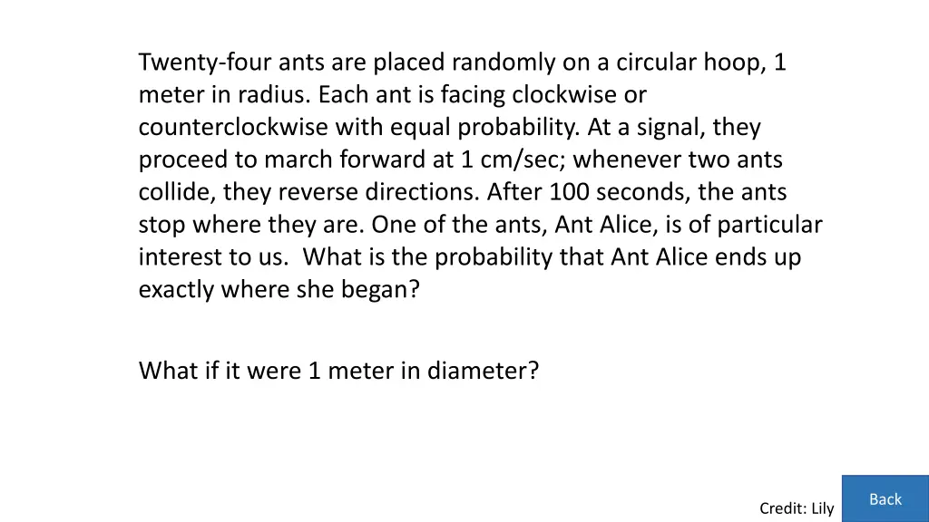 twenty four ants are placed randomly