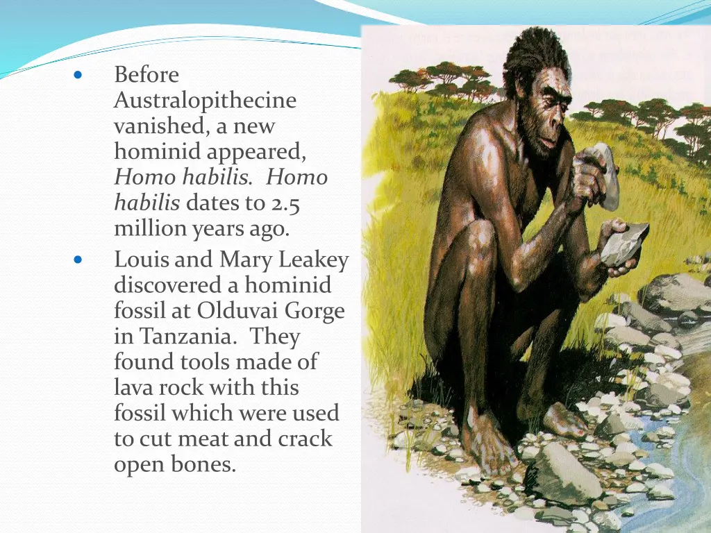 before australopithecine vanished a new hominid