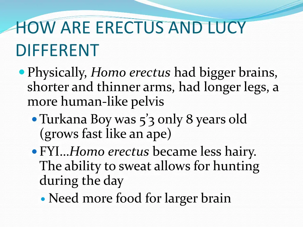 how are erectus and lucy different physically