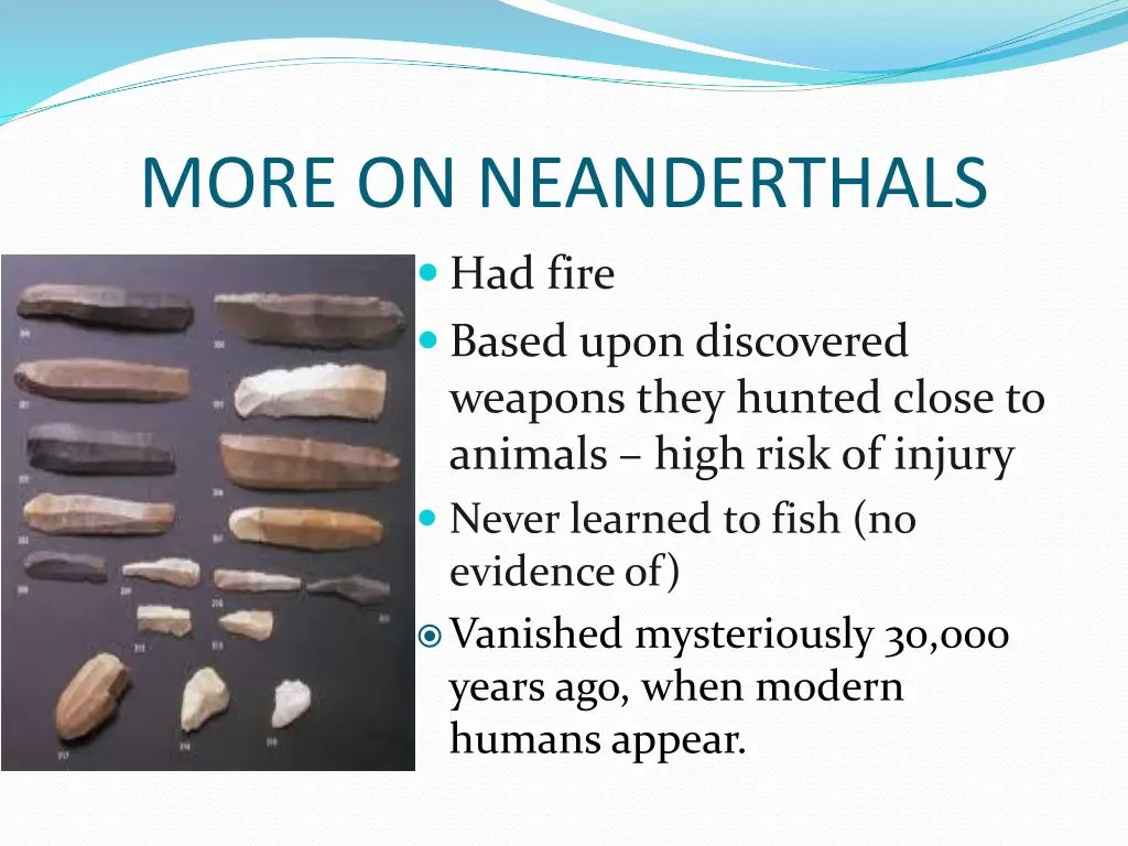 more on neanderthals