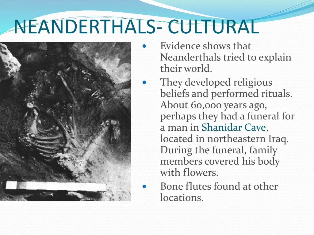 neanderthals cultural