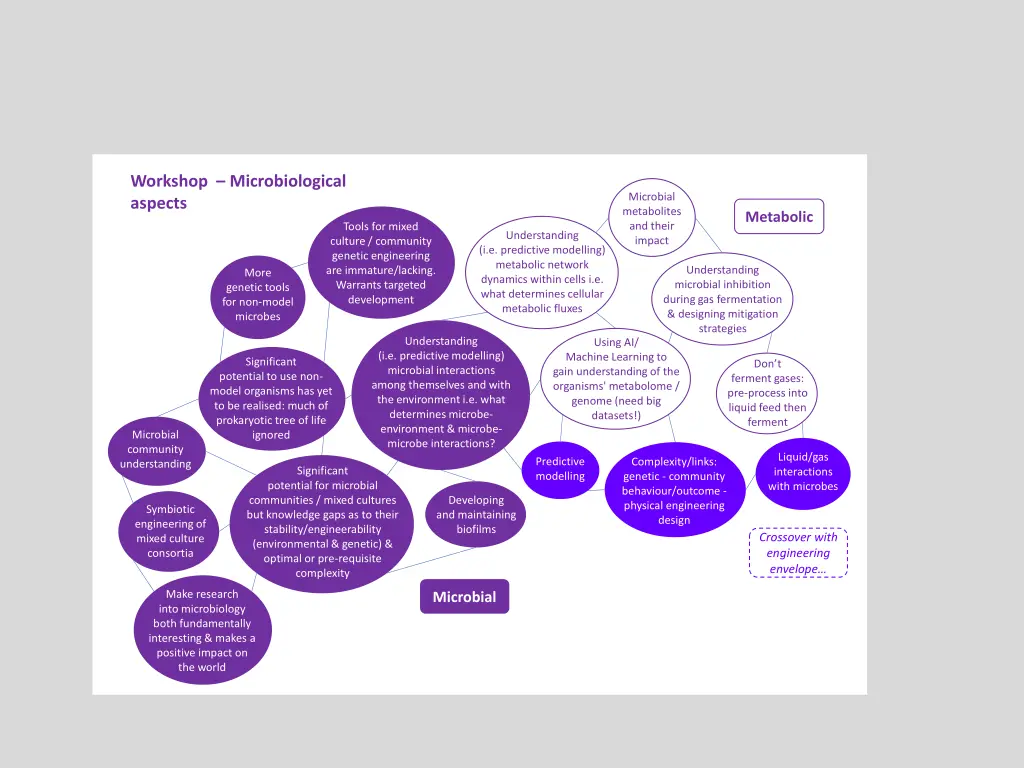 workshop microbiological aspects