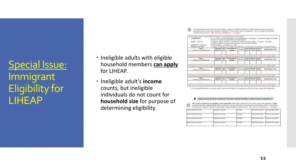 ineligible adults with eligible household members