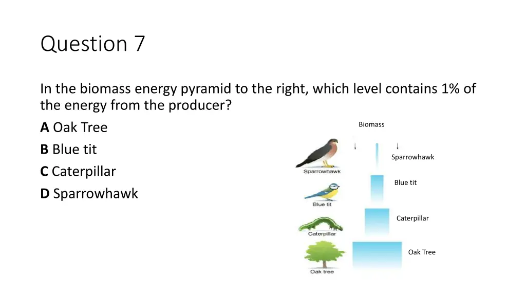 question 7