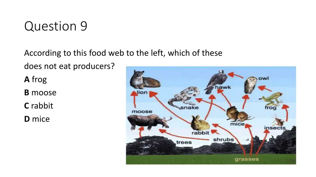 question 9