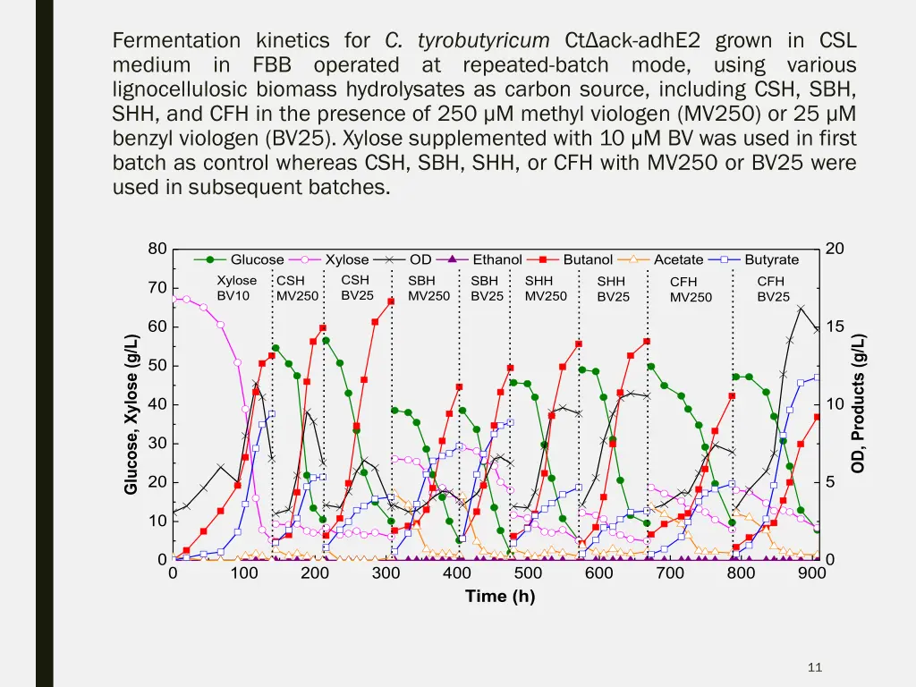 fermentation kinetics for c tyrobutyricum