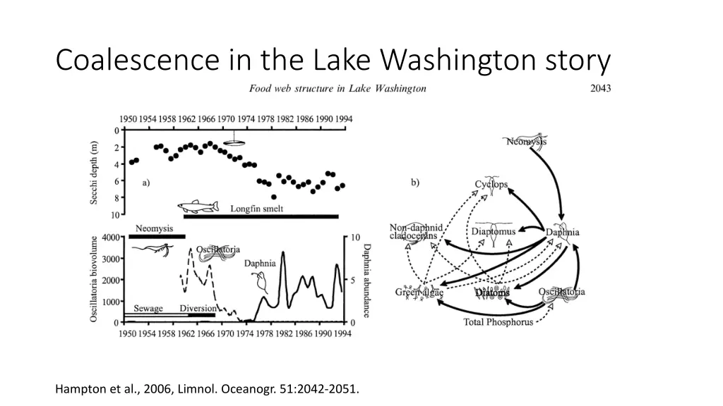 coalescence in the lake washington story