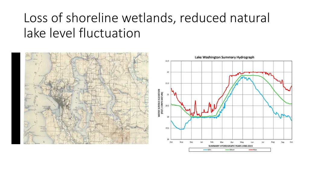 loss of shoreline wetlands reduced natural lake