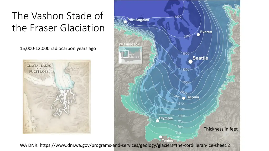 the vashon stade of the fraser glaciation