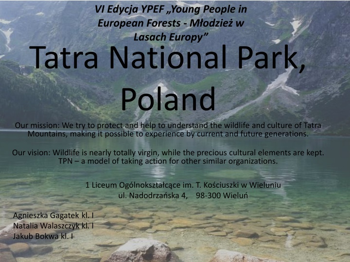 vi edycja ypef young people in european forests