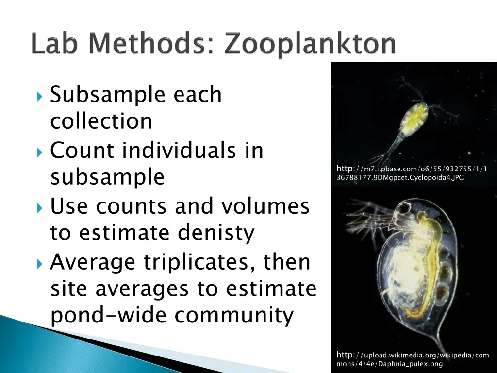 subsample each collection count individuals