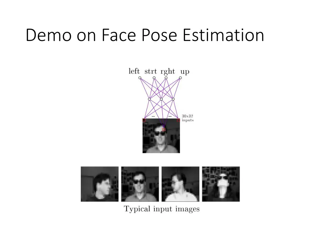 demo on face pose estimation