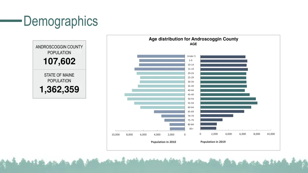 demographics 1