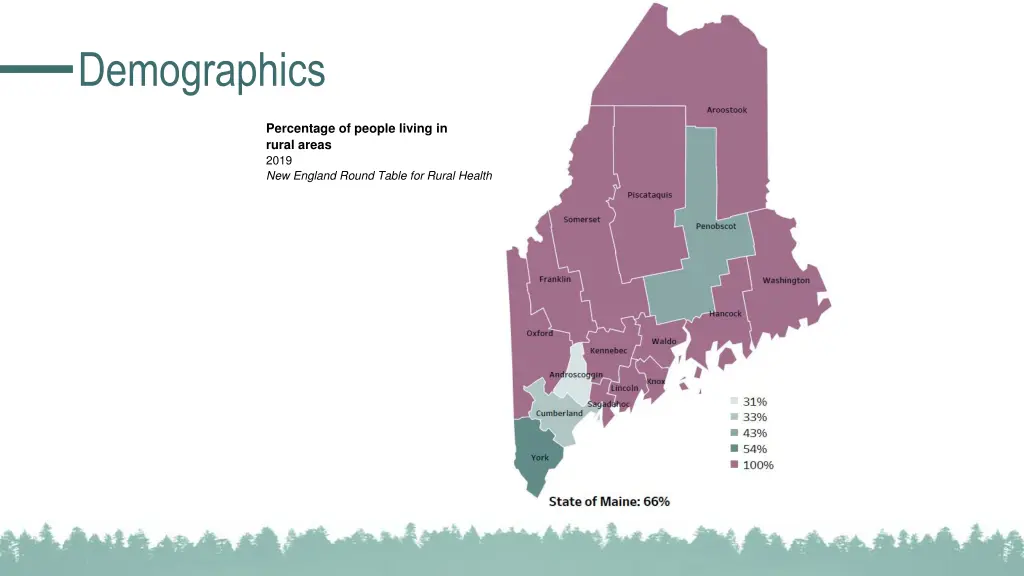 demographics 2