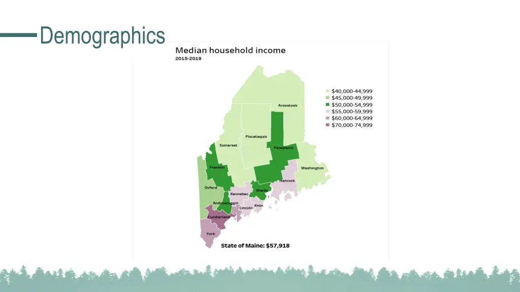 demographics 5