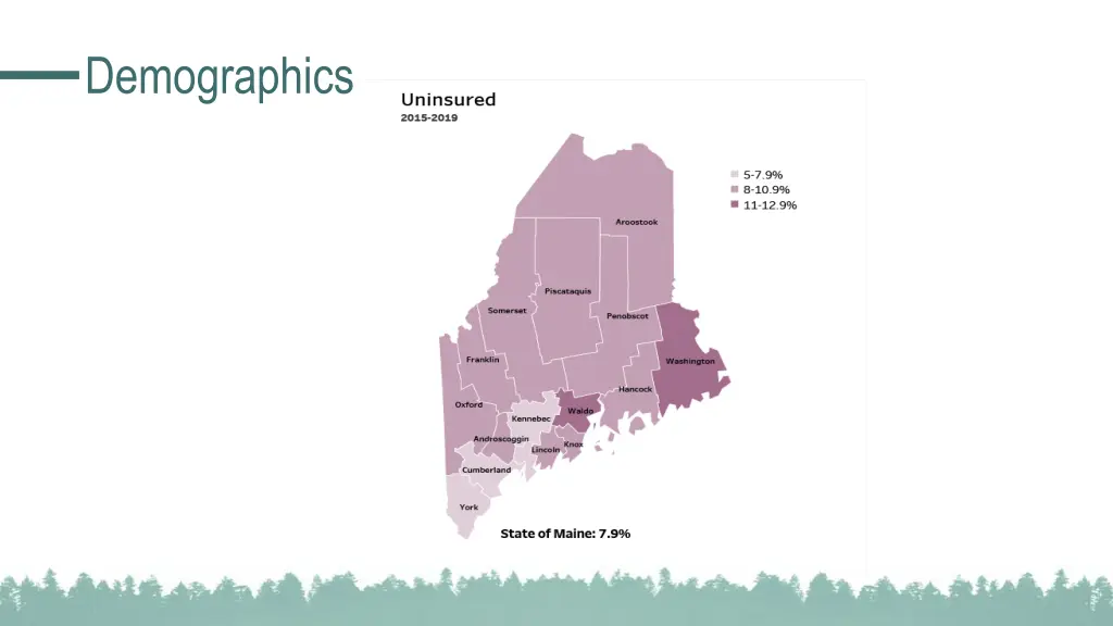 demographics 6