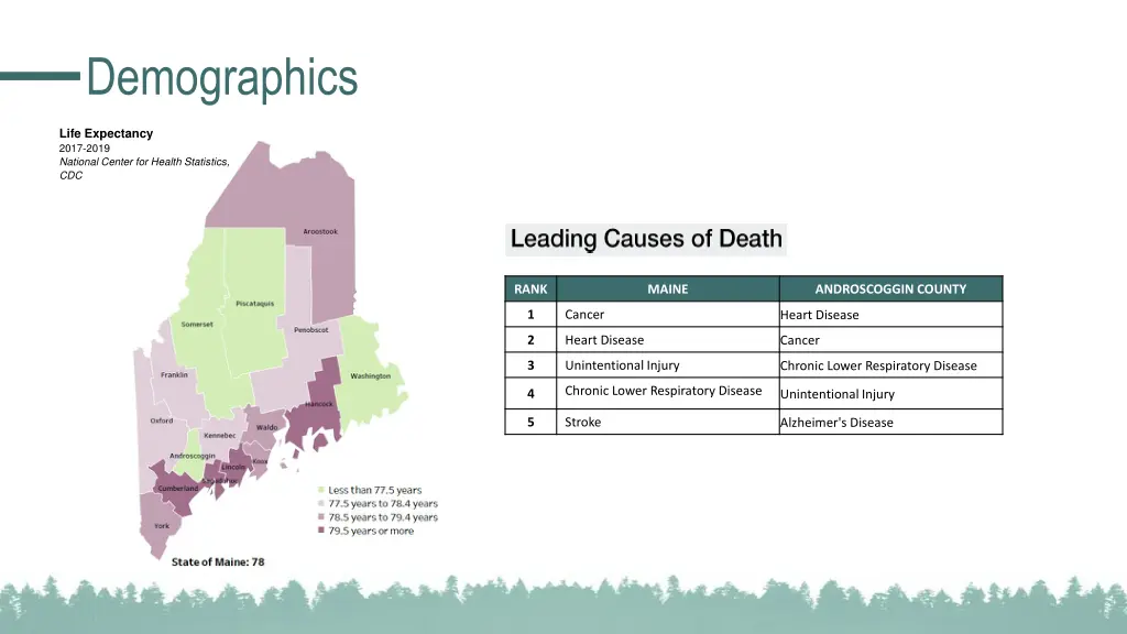 demographics