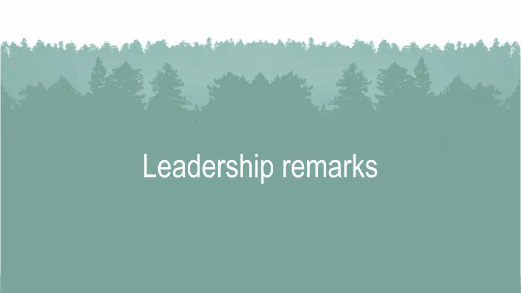 leadership remarks