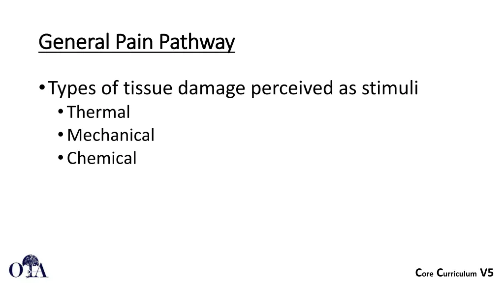 general pain pathway general pain pathway 1