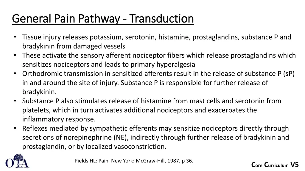 general pain pathway general pain pathway 2