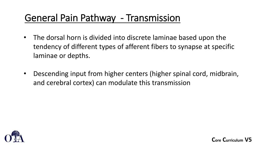 general pain pathway general pain pathway 3