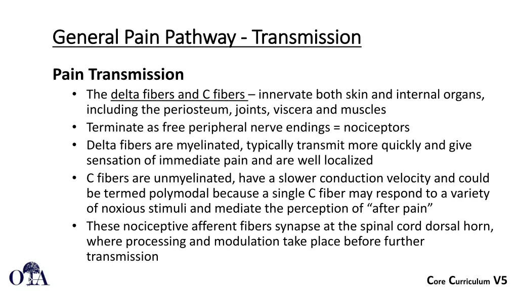 general pain pathway general pain pathway 4