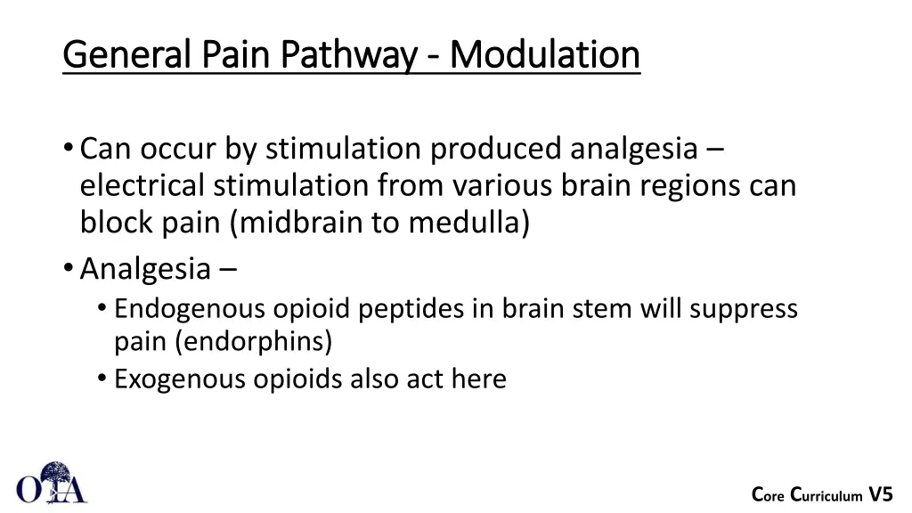 general pain pathway general pain pathway 5