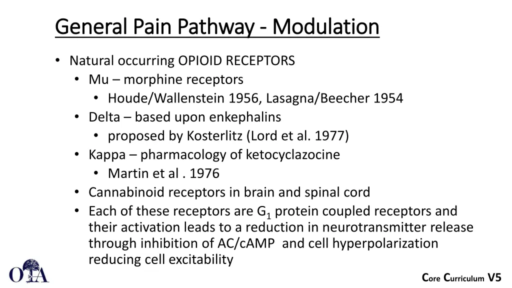 general pain pathway general pain pathway 6