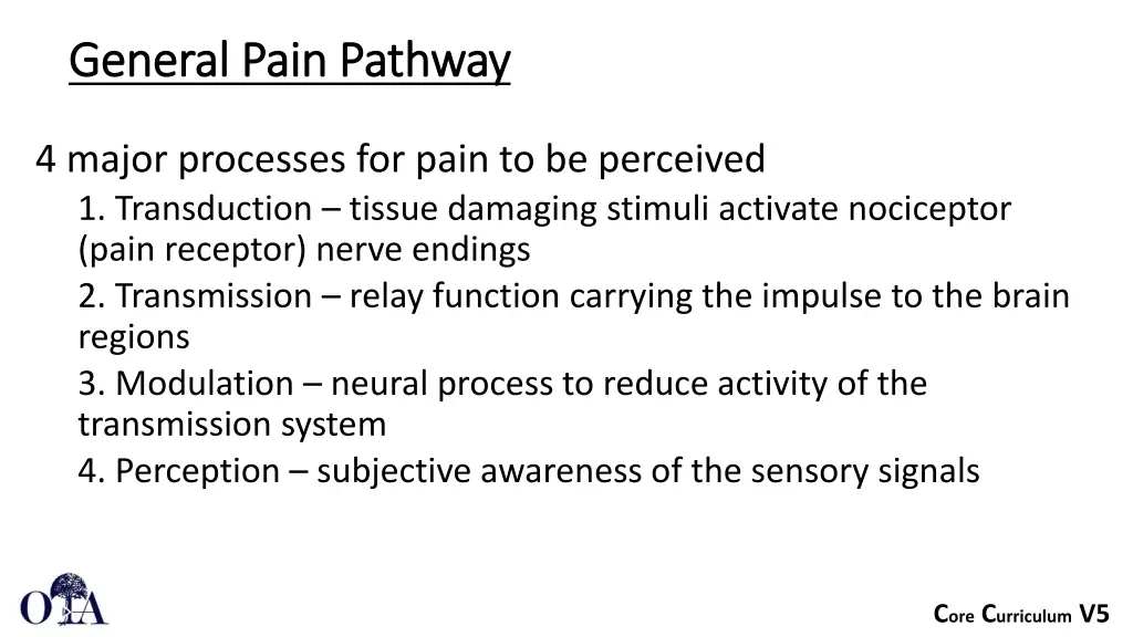 general pain pathway general pain pathway