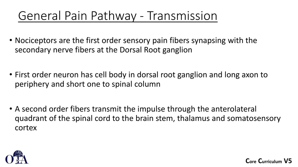 general pain pathway transmission