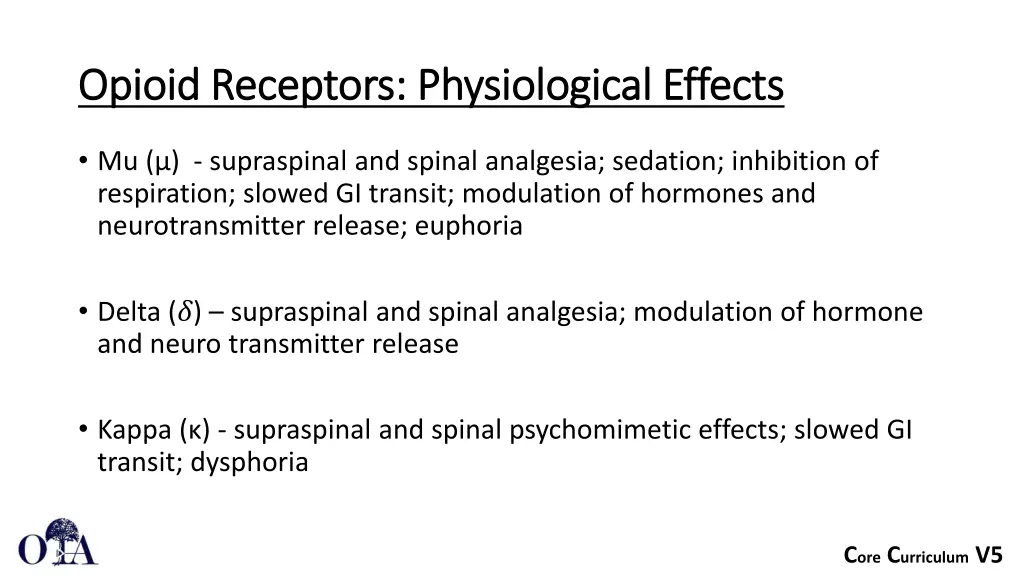 opioid receptors physiological effects opioid