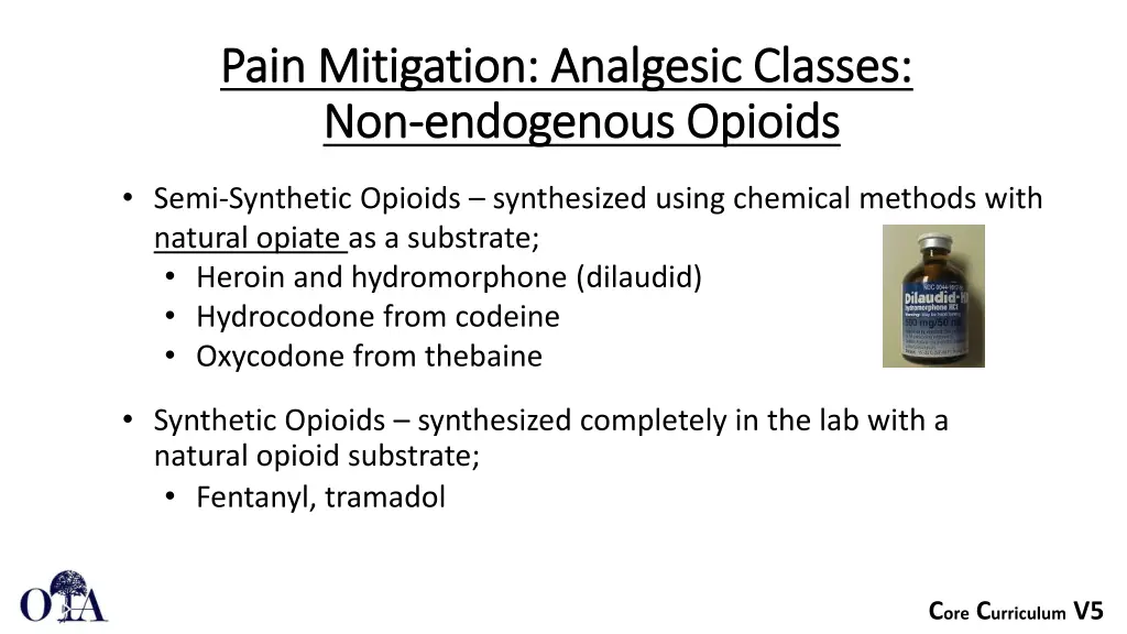 pain mitigation analgesic classes pain mitigation 1