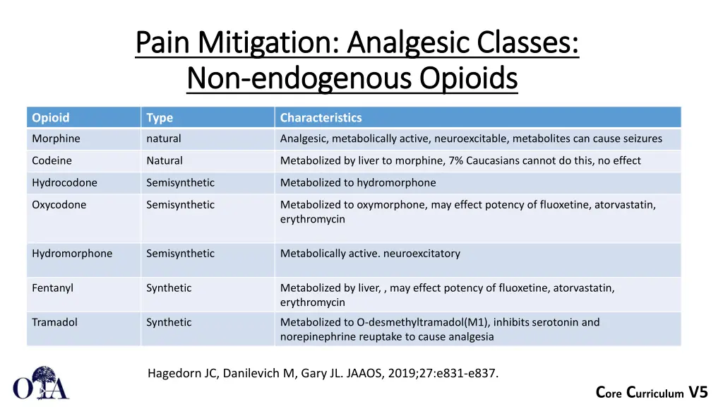 pain mitigation analgesic classes pain mitigation 2