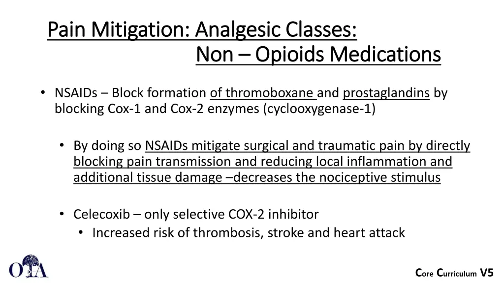 pain mitigation analgesic classes pain mitigation 3