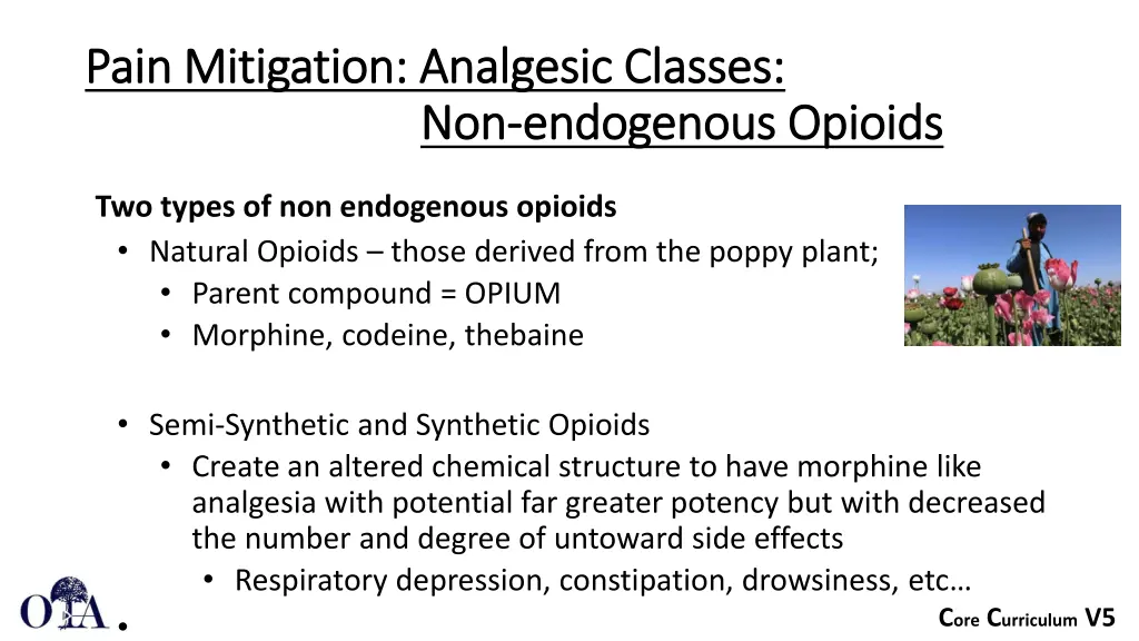 pain mitigation analgesic classes pain mitigation