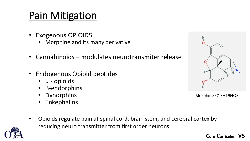 pain mitigation pain mitigation