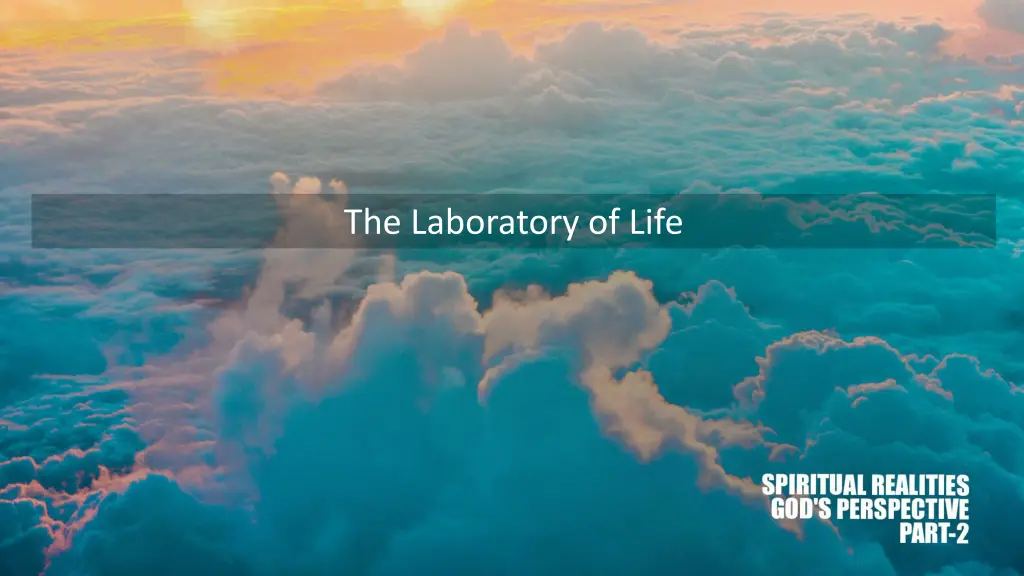 the laboratory of life