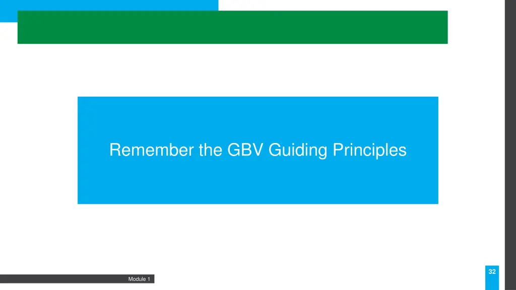 remember the gbv guiding principles