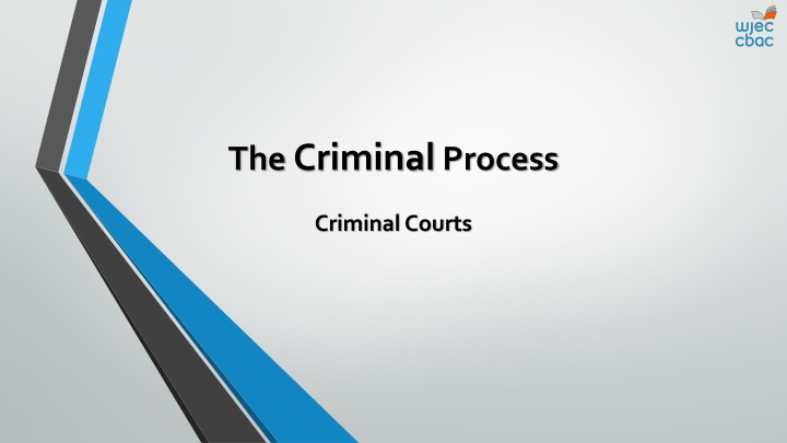 the criminal process