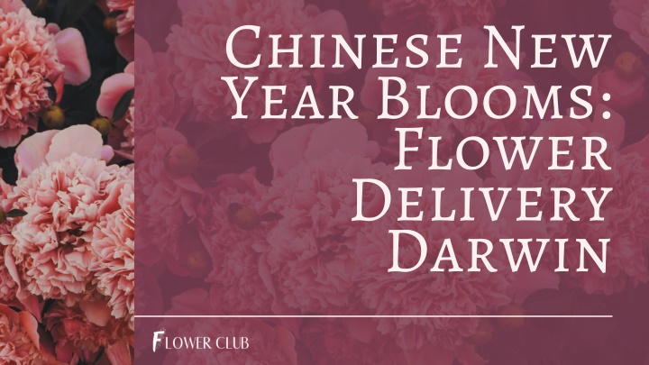 chinese new year blooms flower delivery darwin