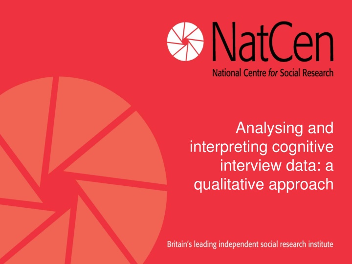 analysing and interpreting cognitive interview