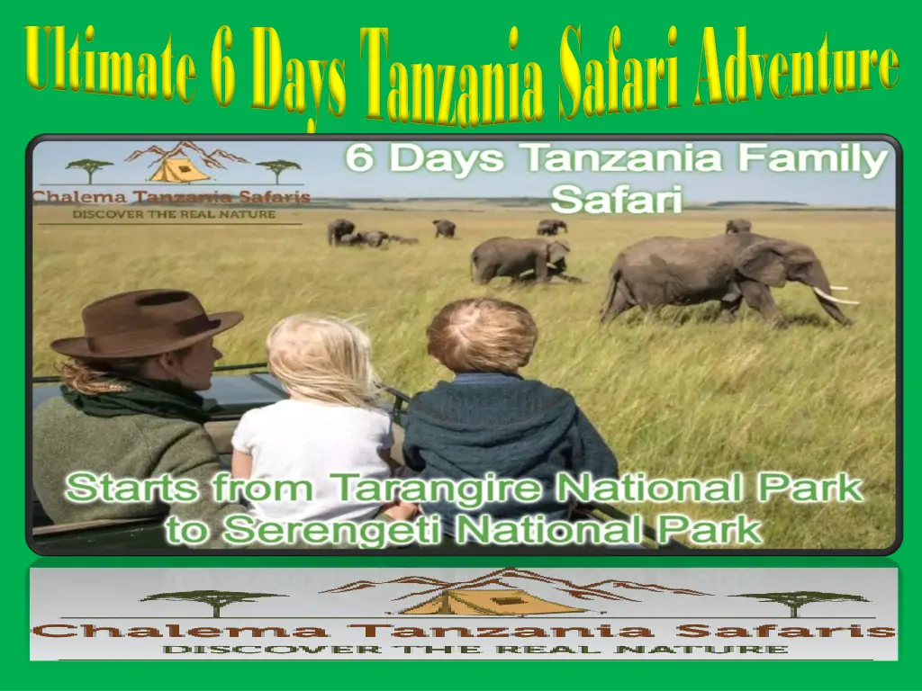 ultimate 6 days tanzania safari adventure 1