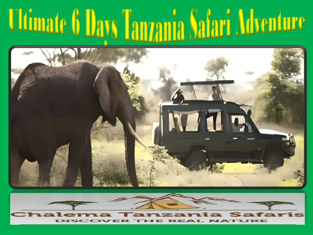 ultimate 6 days tanzania safari adventure 2