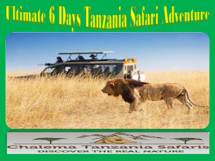 ultimate 6 days tanzania safari adventure